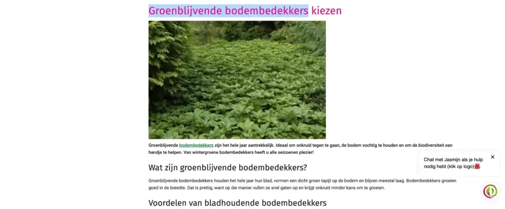 Blog post over Groenblijvende bodembedekkers kiezen van Directplant.