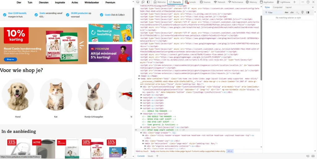 DEV tools paneel aan de rechterkant.