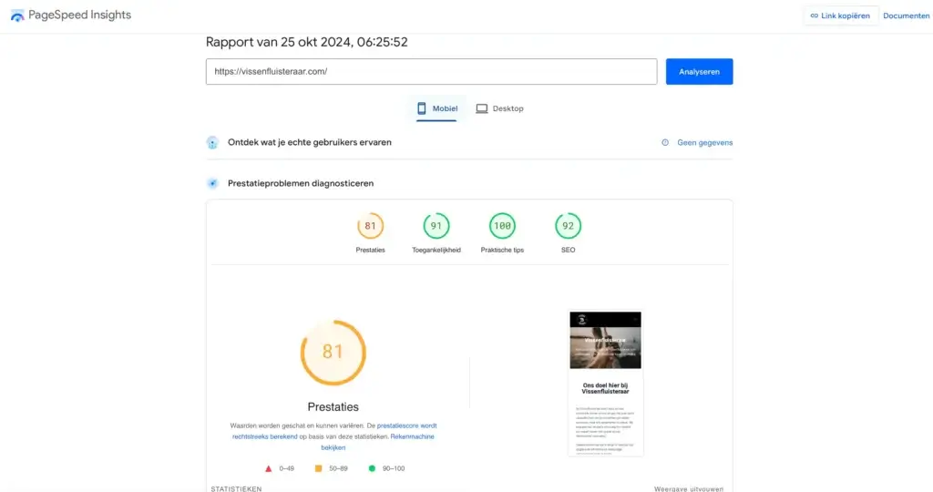 De snelheid gemeten van vissenfluisteraar met Pagespeed insights.