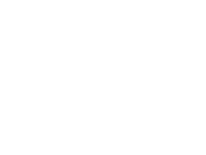 Wat is Google Ad Grants?